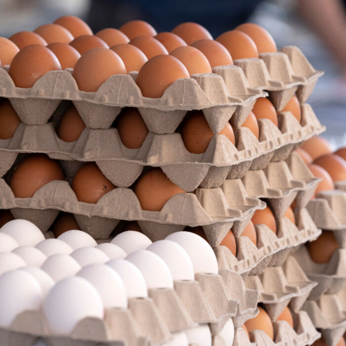 many fresh eggs at the market